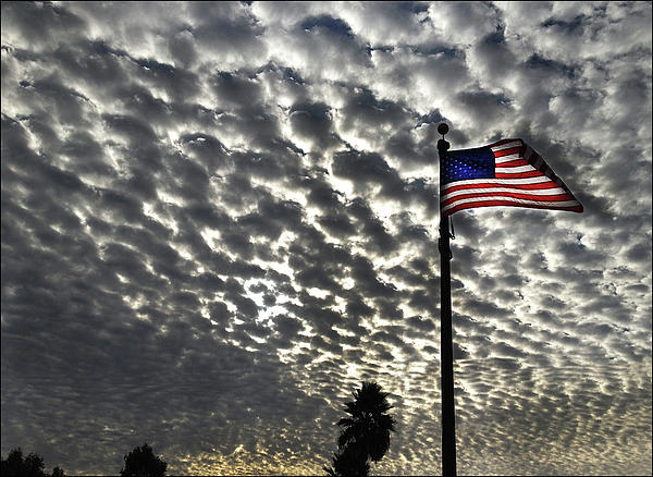 The Flag Photograph